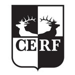 CERF Best Student Paper Award