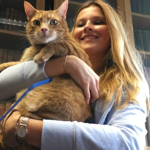 Marshall Library's Three-legged Cat 'relieves exam stress'