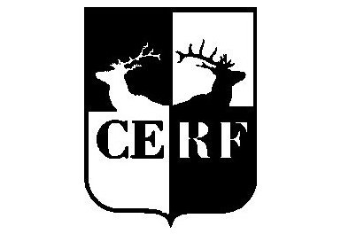 CERF Scholarship competition 2021